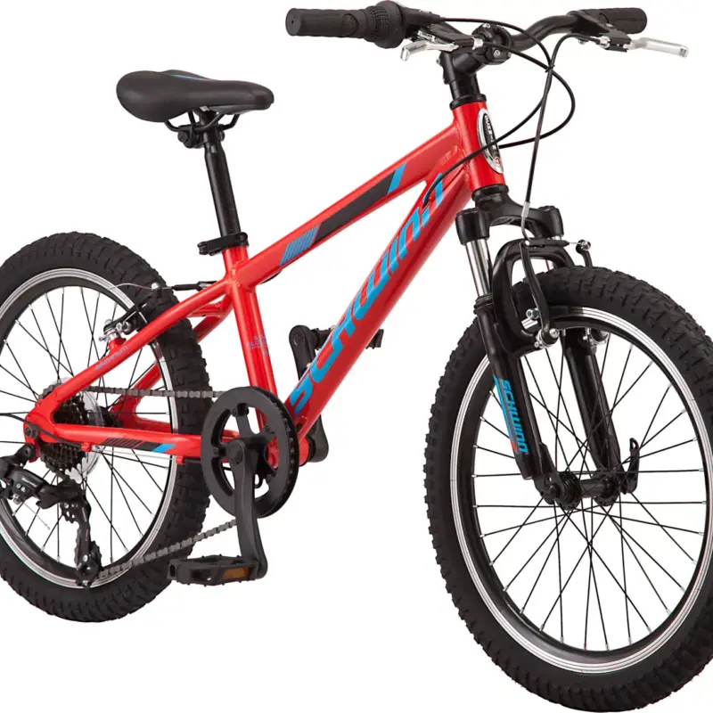 Schwinn Signature Boys' Thrasher 20'' Mountain Bike